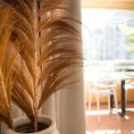 Voramar I Calpe, * 칼페